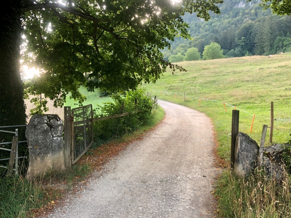 Dritter Tag Wytweiden