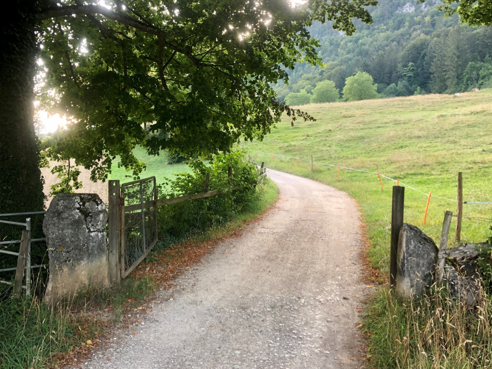 Dritter Tag Wytweiden